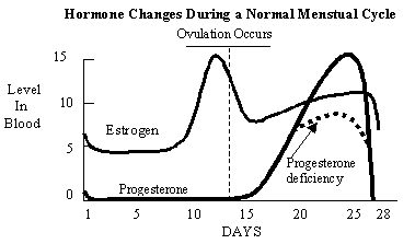 menstrual hormone cycle
